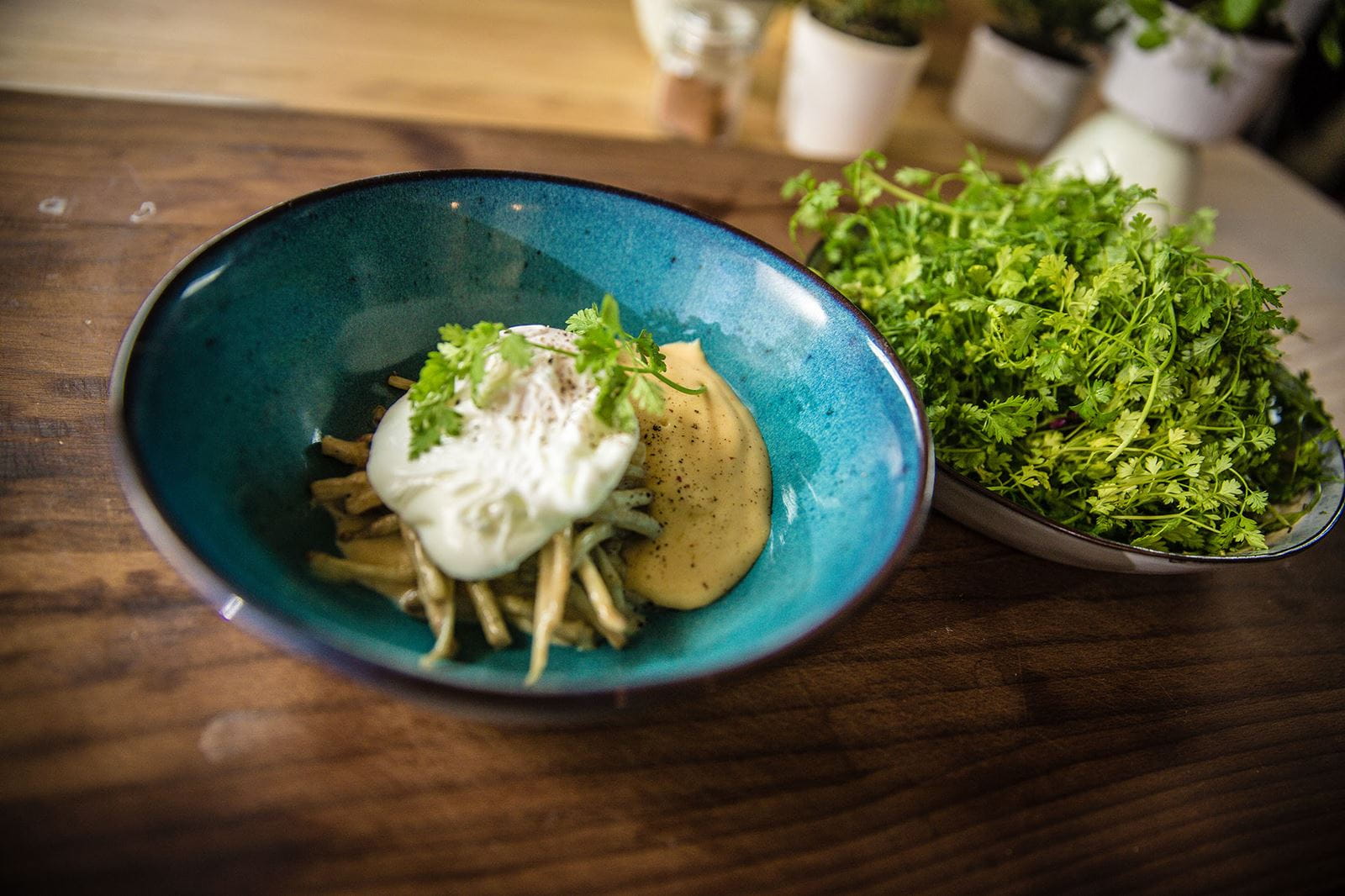 recipe image Jets de houblon à la crème accompagnés d'un œuf poché et de sauce hollandaise