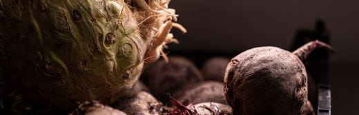 Violife Professional propose des plats pour tous